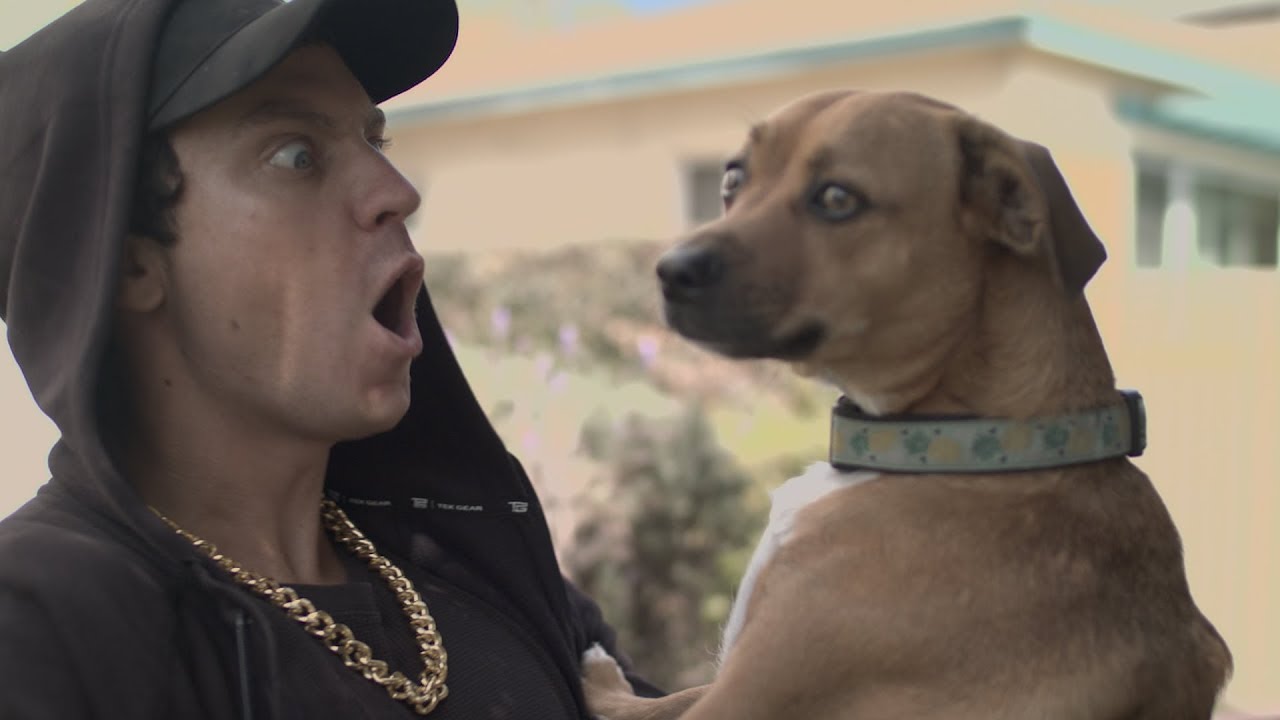 Eminem Disses Everything (MGK Response) (Parody)