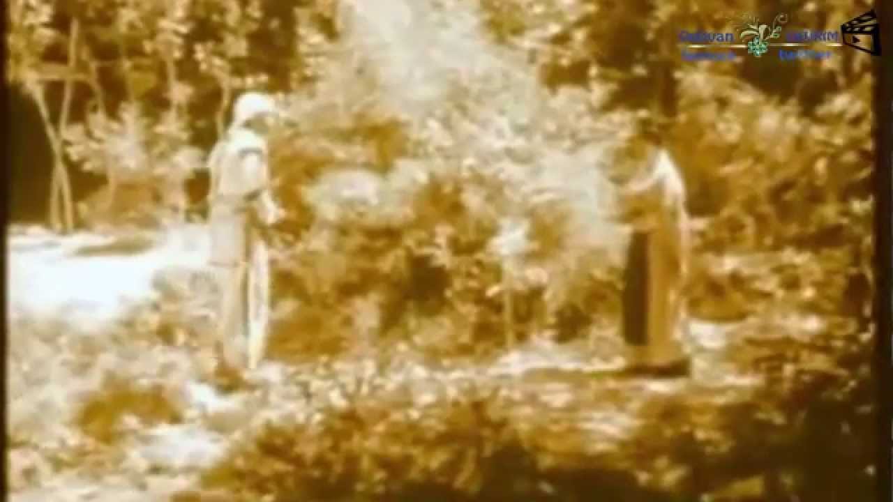 EMİN DEVRİM  -TÜ GÜLİ