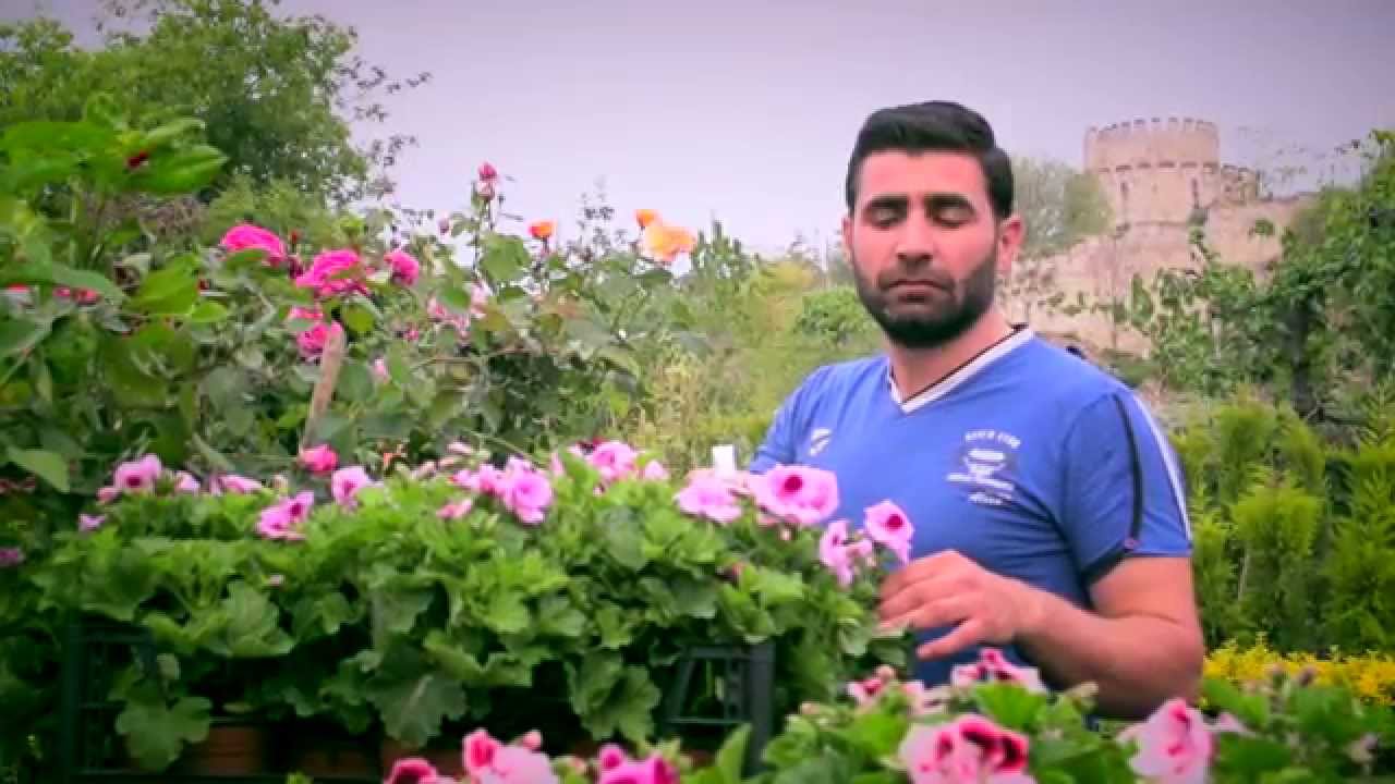 EMİN DEVRİM GULAMIN HD