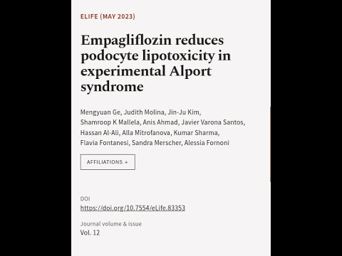 Empagliflozin reduces podocyte lipotoxicity in experimental Alport syndrome | RTCL.TV