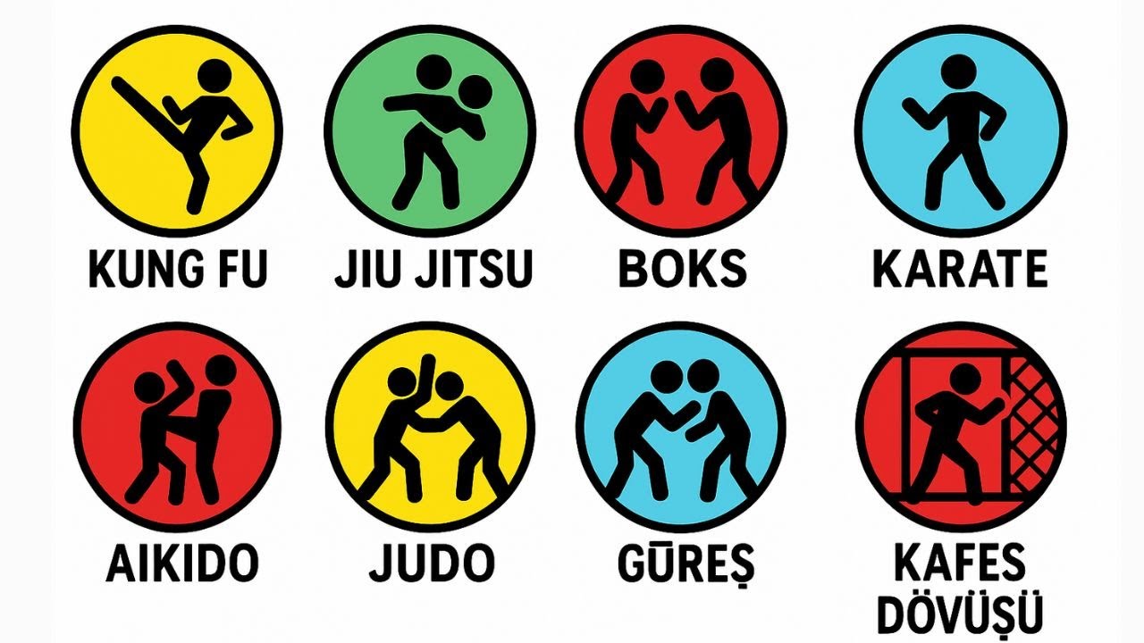 En Güçlü Dövüş Sanatı Hangisi? Karate, Jiu-Jitsu, Boks, Veya Kickboks