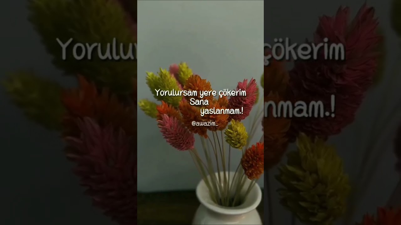 En güzel kürtçe kısa şarkı whatsapp durum videoları aşk ve duygusal 123