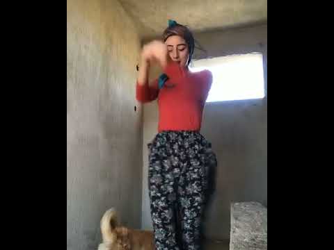 EN İYİ EN ÇOK İZLENEN TİKTOK VİDEOLARI  #Tiktok  #tiktok​ #Shorts