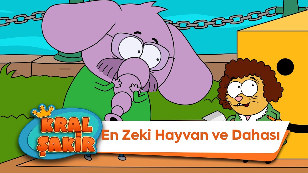 En Zeki Hayvan ve Dahası - Kral Şakir