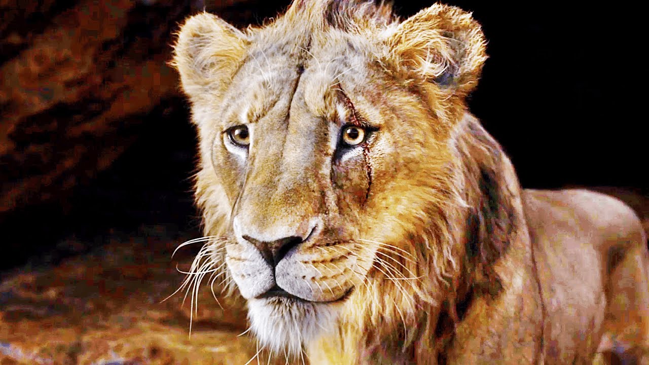 Ending Scene | MUFASA: THE LION KING (2024) Movie CLIP HD