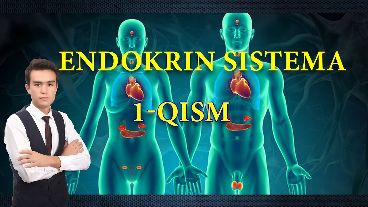Endokrin sistema 1-qism || Sekretsiya bezlari klassifikatsiyasi || Gipofiz || Efipiz