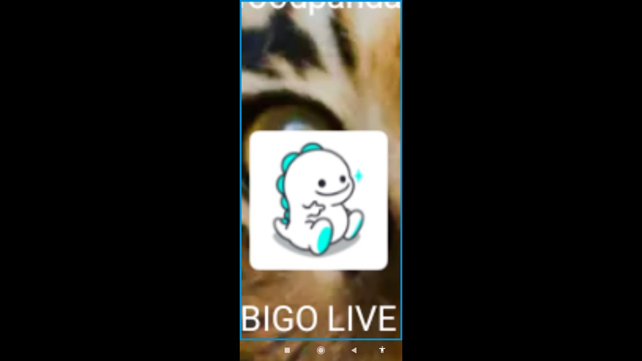 English BIGO LIVE : 👍 Good stream | Playing Solo | Streaming with Turnip