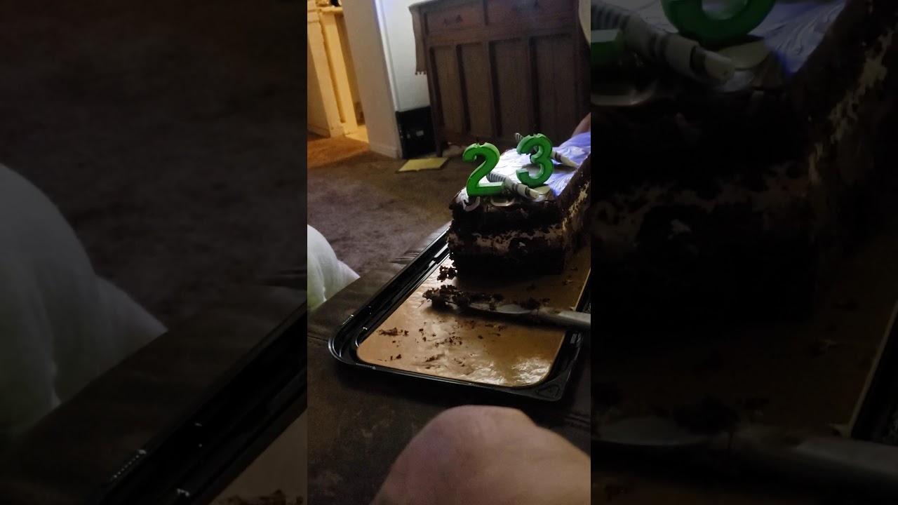 English bull terrier vs Chocolate b'day cake