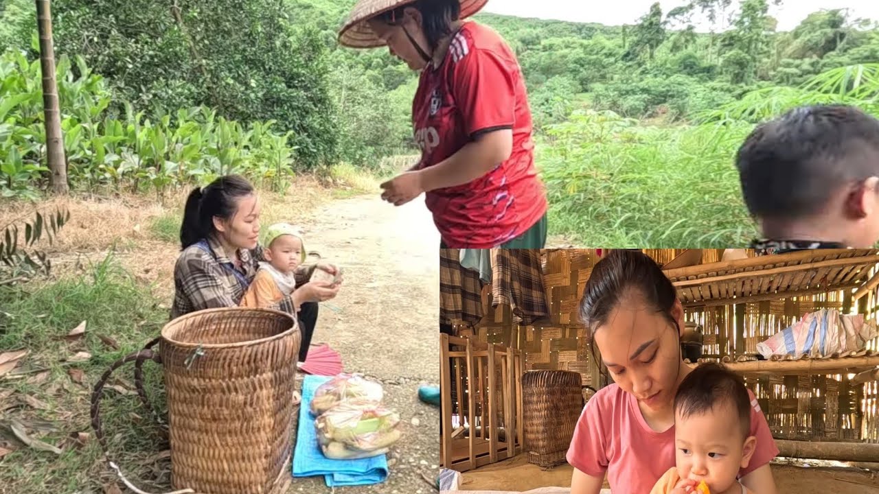 Enjoy sweet papaya at the farm. Grow more chicks. Ly Vy Ca