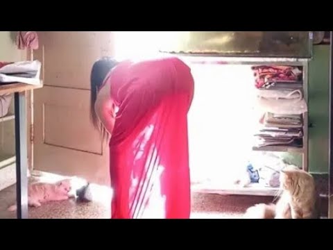 enjoy with my meow -- Sayan sathi vlogs