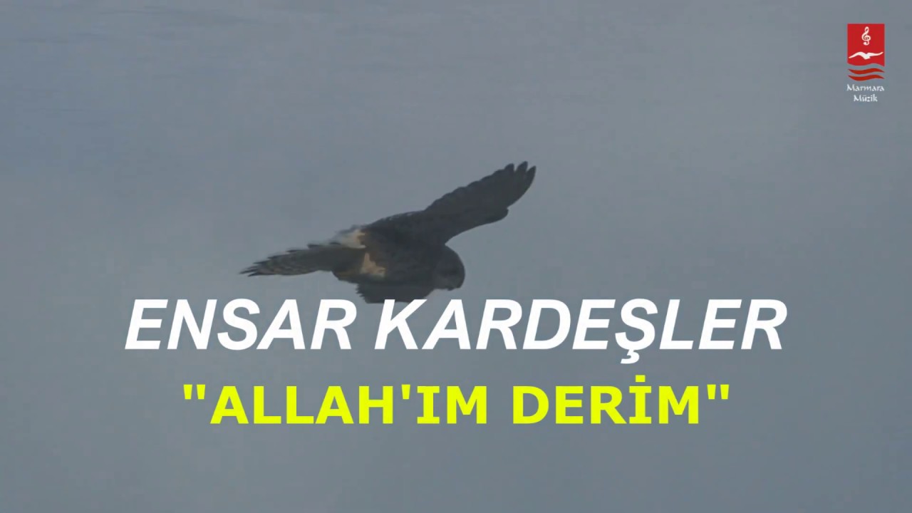 Ensar Kardeşler 