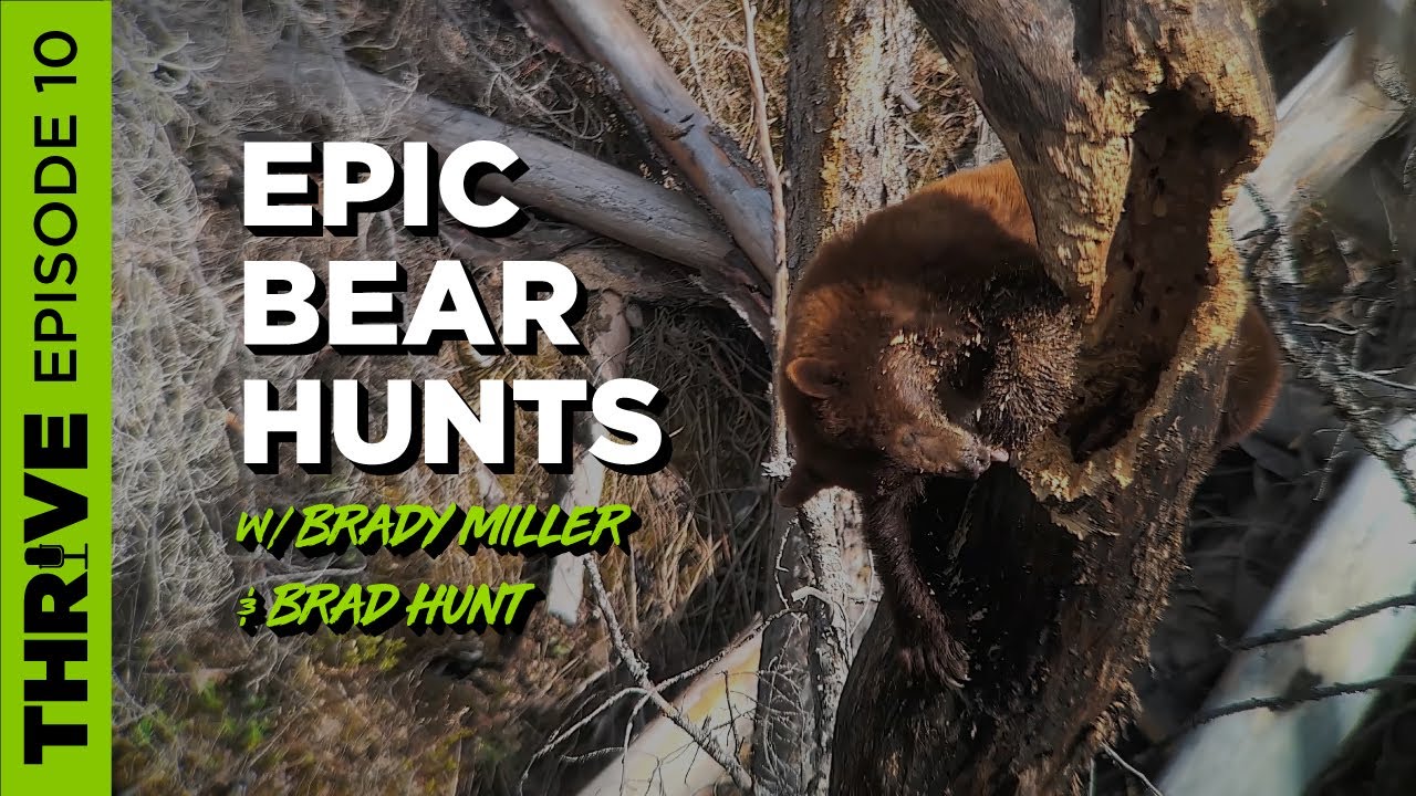 EP. 10 EPIC SPRING BEAR HUNTS WITH BRADY MILLER & BRAD HUNT