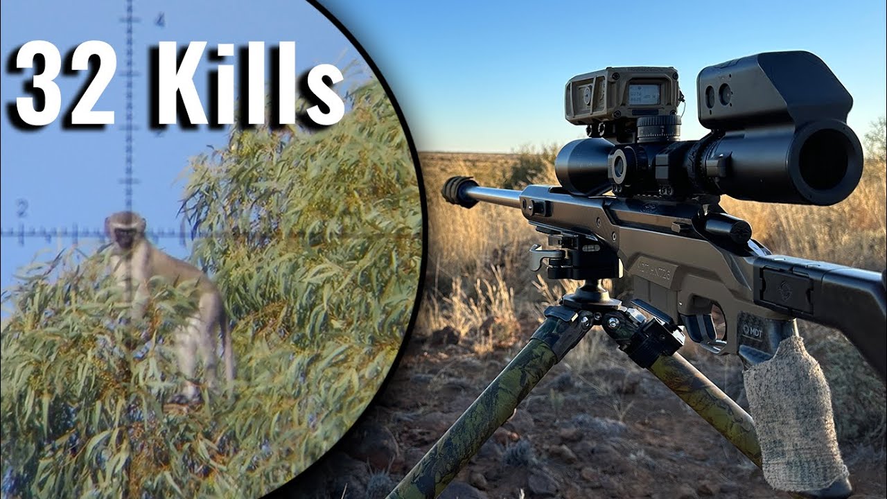Epic Monkey Hunt: 32 Takedowns in 7 Minutes