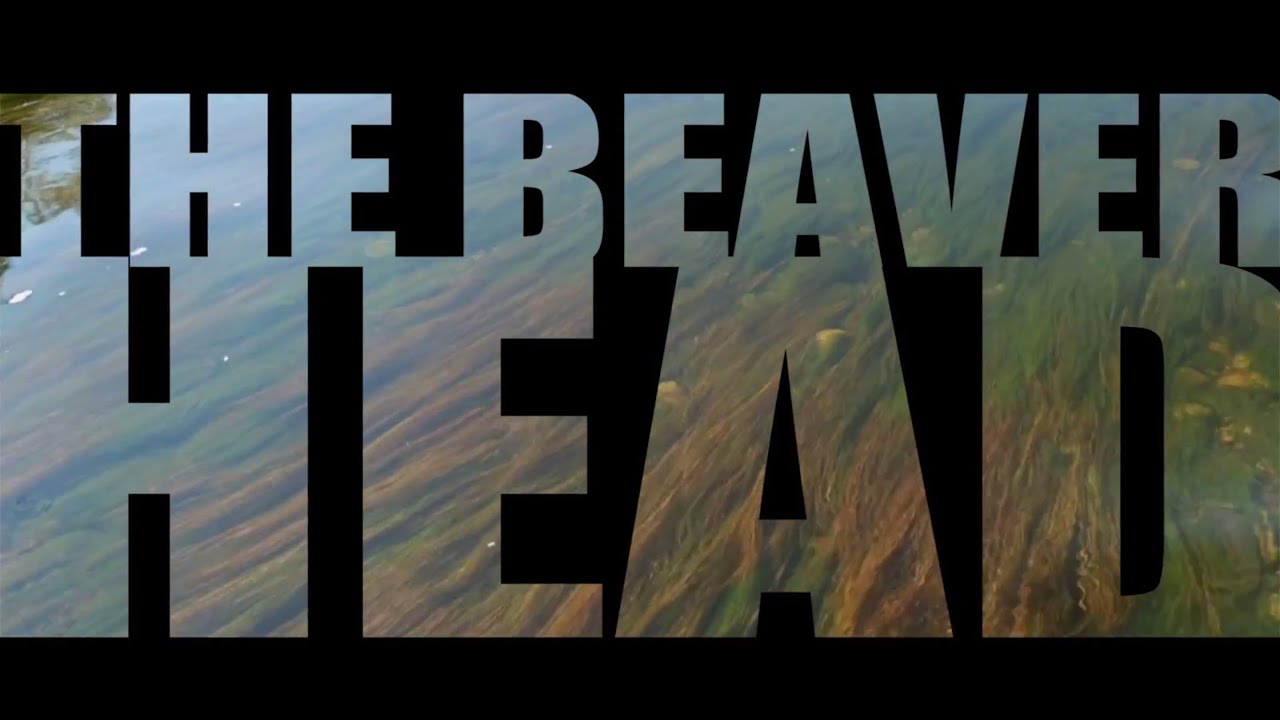 Epic Montana Trout Rivers - THE BEAVERHEAD