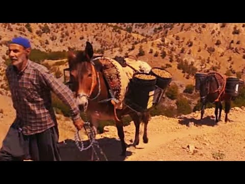 Ercan Şenlik - Ay Lo Dılo [ Zazaca ]