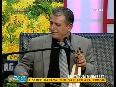 Şeref Kara - Issizladin mi yaylam yok mu gelip gidenin