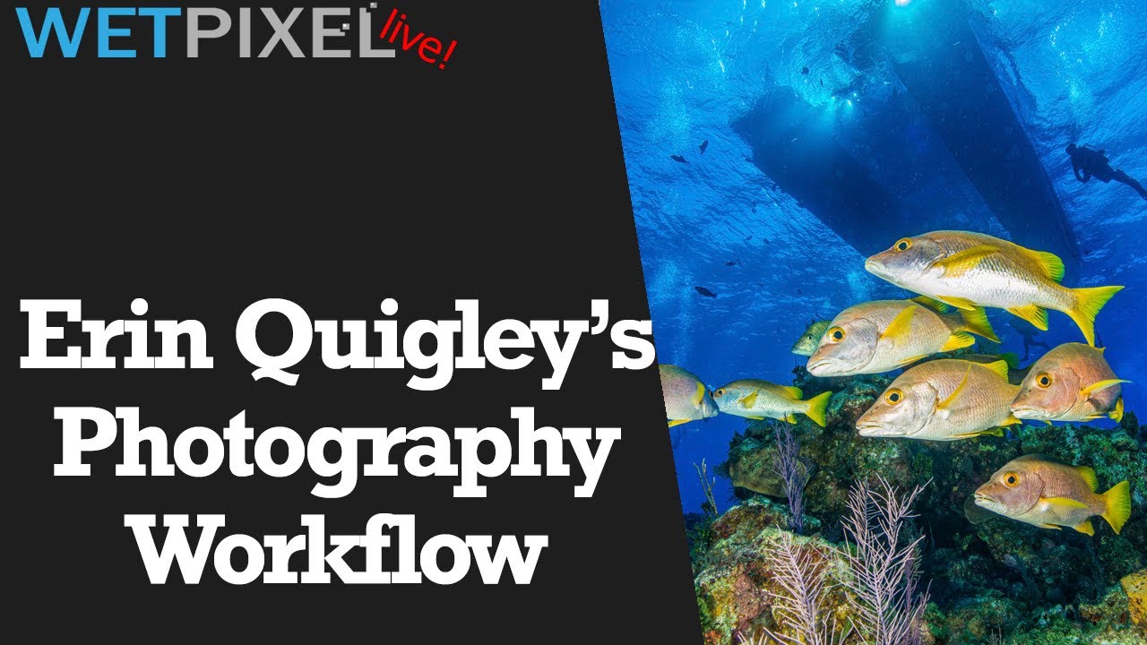 Erin Quigley Discusses Workflow for Underwater Photographers