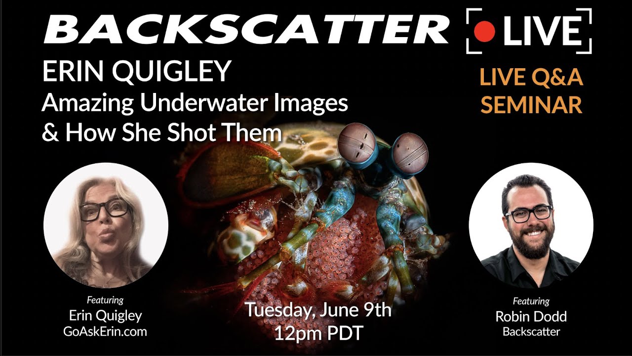 Erin Quigley's Amazing Underwater Images & How She Shot Them [Recorded LIVE] June 9 2020