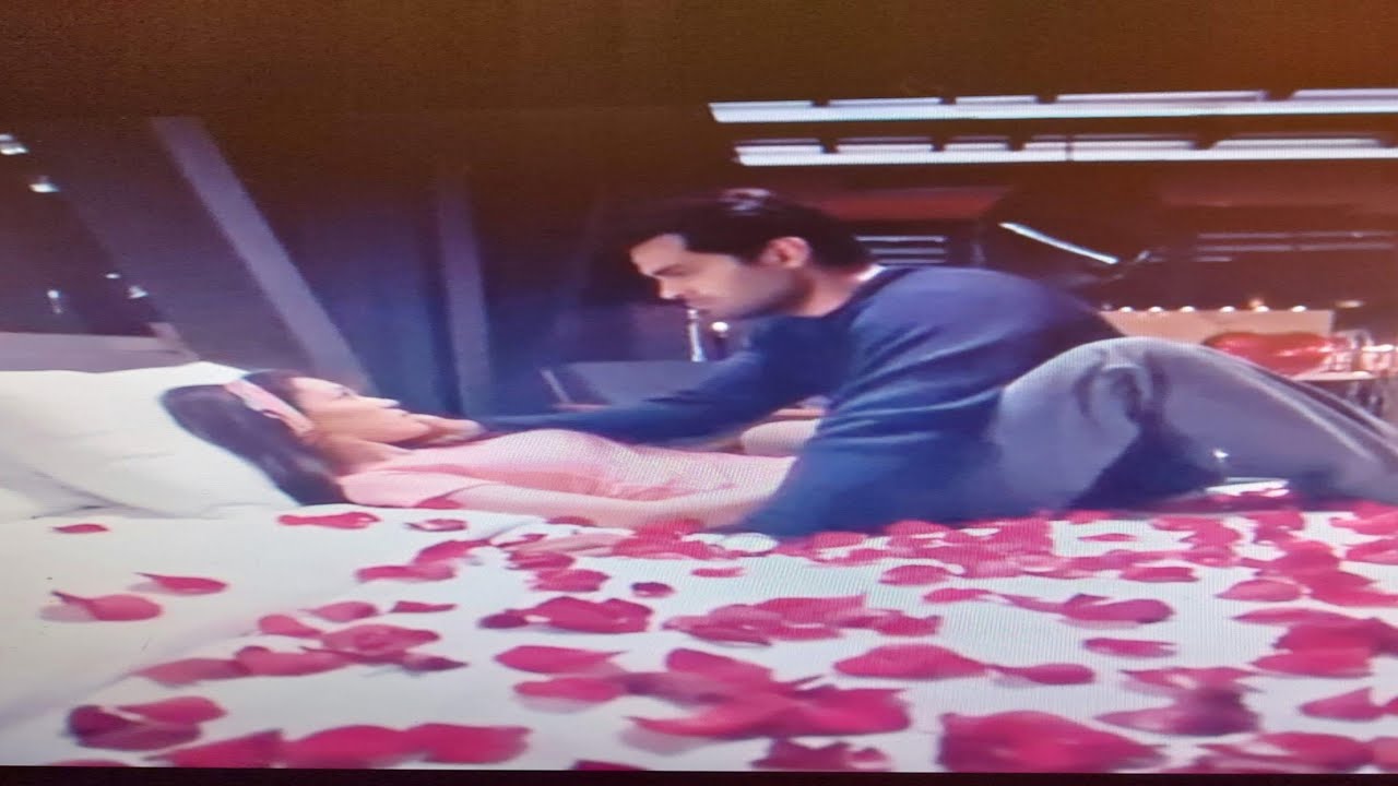 Erkan Meric and Hazal Subasi on full red roses bed in Erkan House | Celebrities Profile