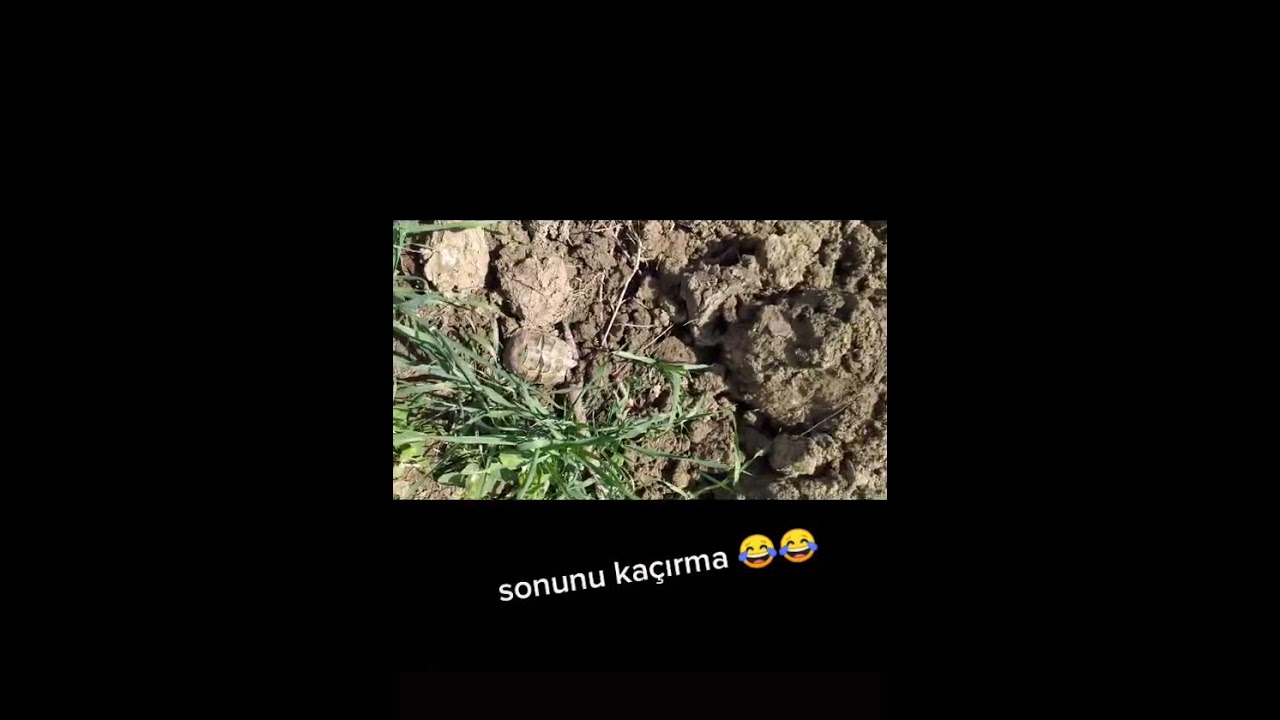 Erken gelmişsin Mehmet