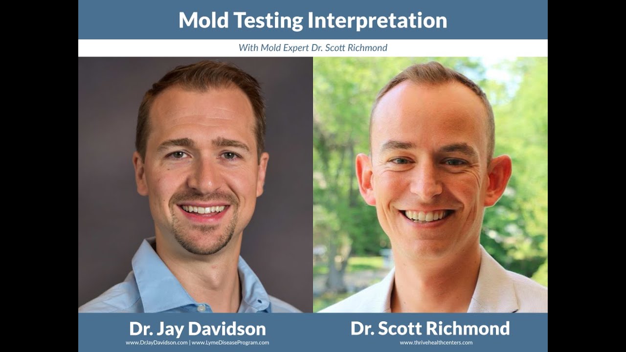 ERMI Mold testing interpretation with Dr. Scott Richmond