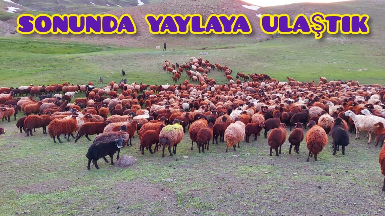 ERZURUM KARAYAZI YAYLASINA ULAŞTIK--MUHTEŞEM KAR SULARI VE MANZARA(1)
