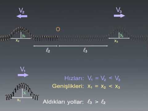 Esen Yayınları Animasyonları: Atmalarda Yansıma ve İletim (Hafif / Ağır) (Yay Dalgaları) (10.Sınıf)