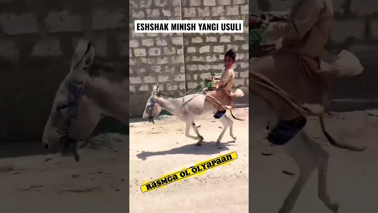 ESHSHAK MINISHNI YANGI USLUBI. kulguli videolar