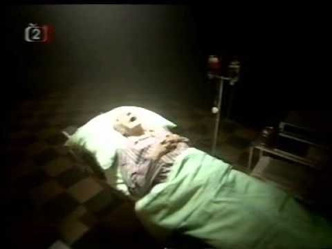 Česká soda - Ležák