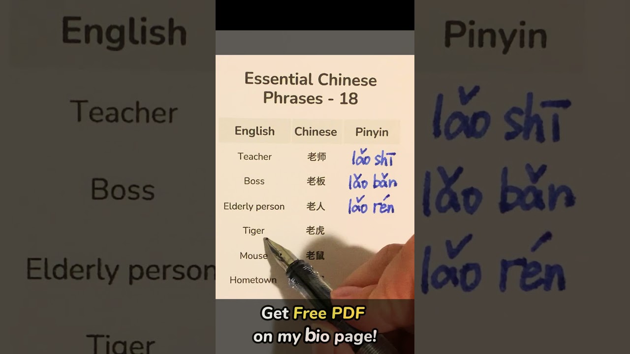 Essential Chinese 18