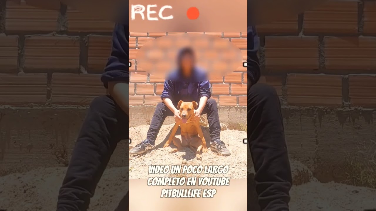 estándar APBT ADBA