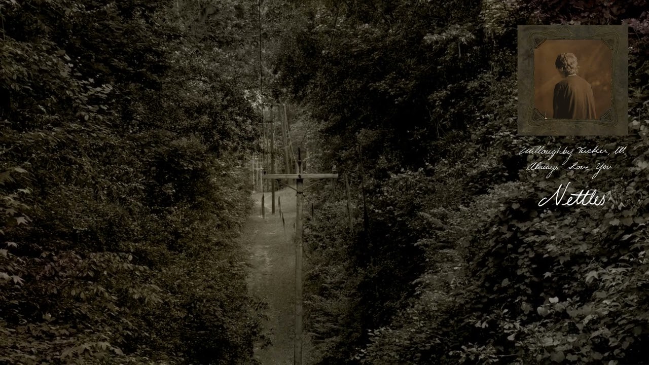 Ethel Cain - Nettles (Official Visualizer)