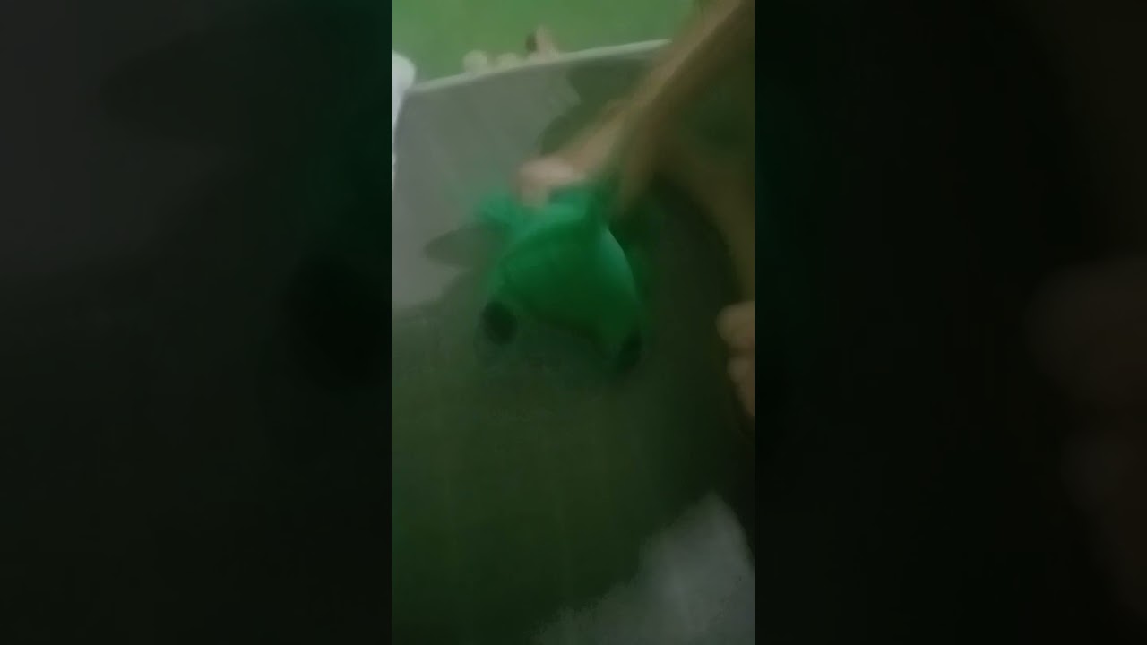 EU DANÇANDO bum bum tam tam