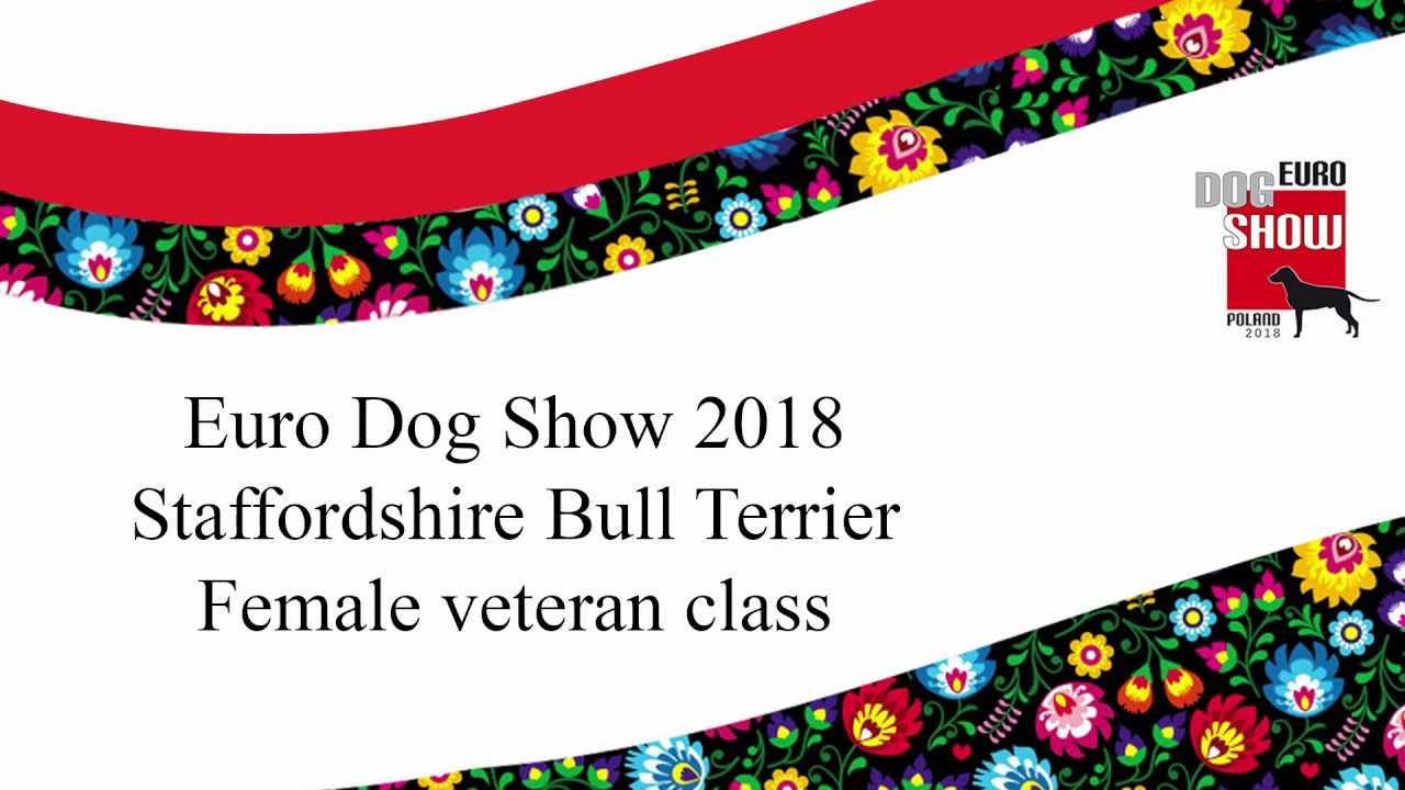 Euro Dog Show 2018 - Staffordshire Bull Terrier female veteran class