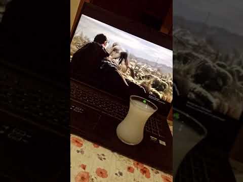 Ev ortam rakı boomerang snap story