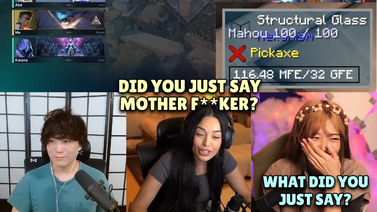 Everyone Couldn't Believe What Sykkuno had Said