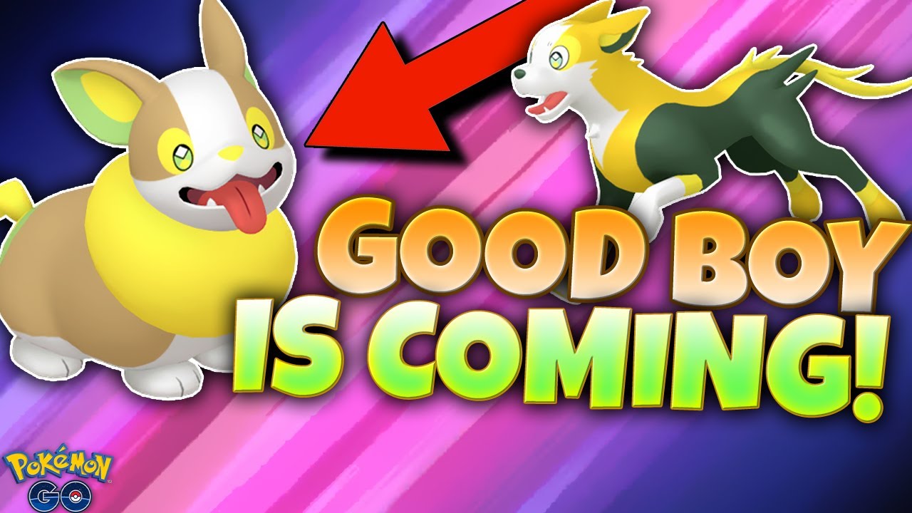 EVERYONE'S FAVORITE POKÉMON IS FINALLY HERE!!  Pokémon GO Yamper's Paw Prints Event Explained!