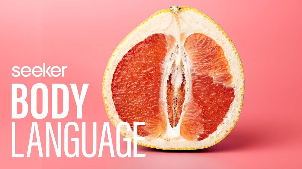 Everything You Didn’t Learn in Sex Education About The Vagina