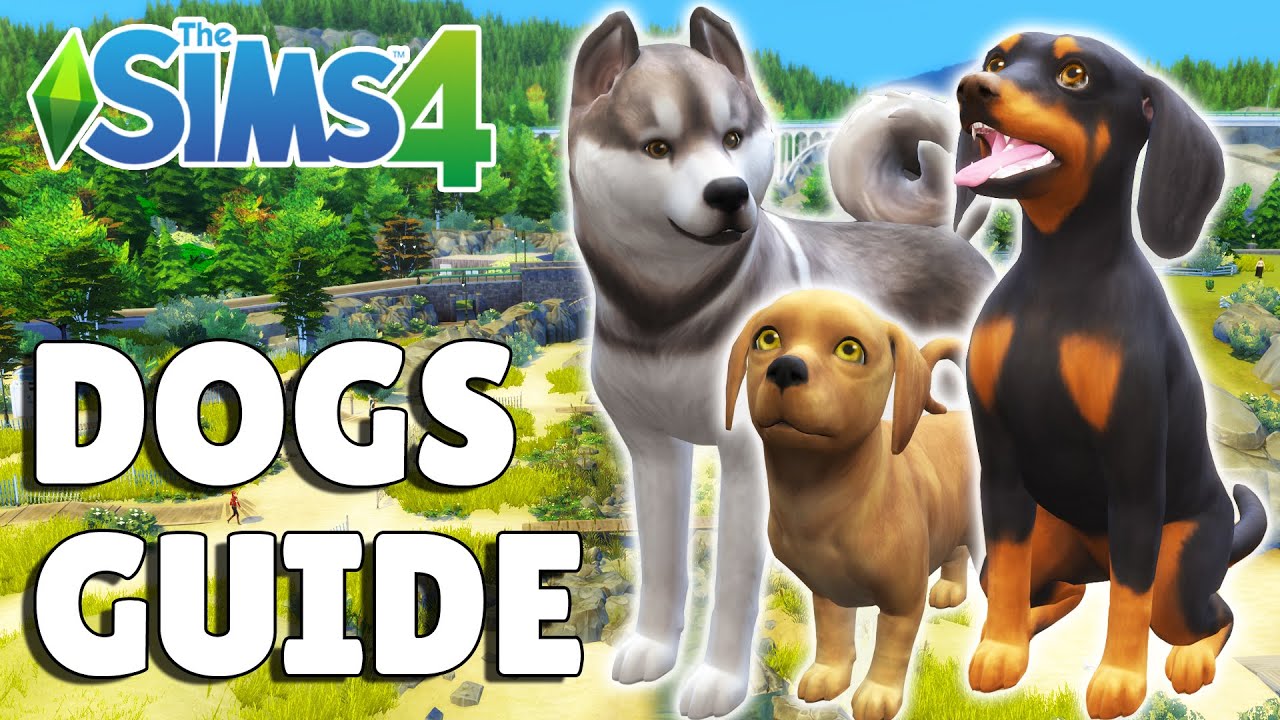 Everything You Need To Know About Dogs In The Sims 4