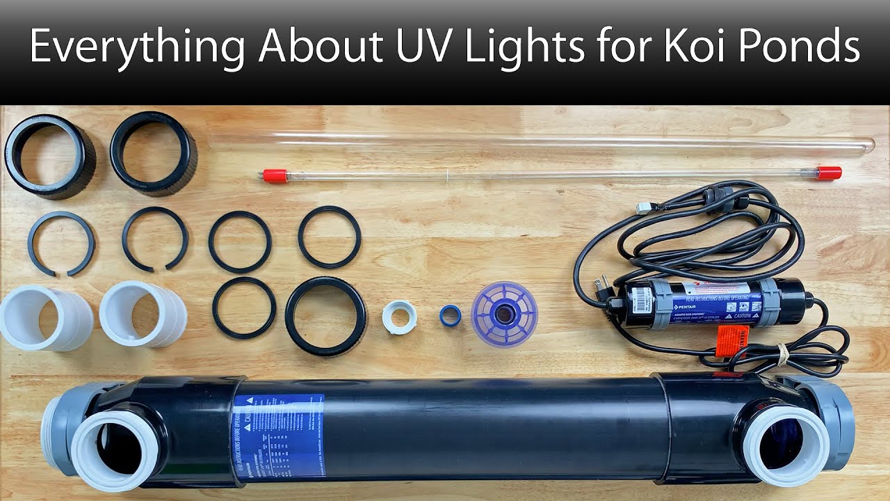 Everything you need to know about your Koi Pond UV light - How to assemble, install and maintain