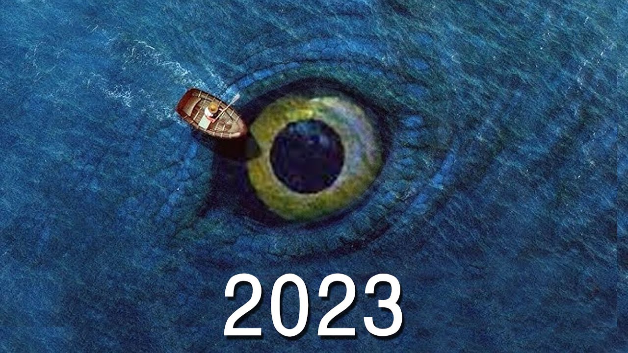 evolution of bloop