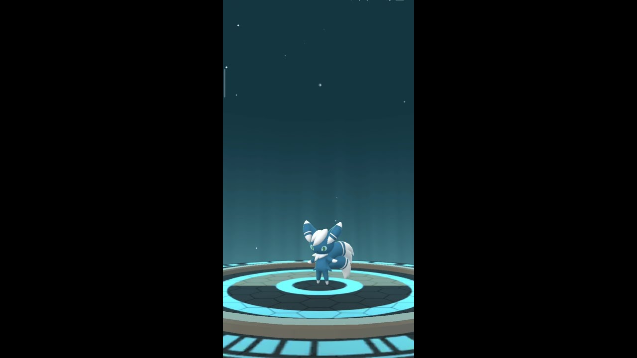 Evolving Espurr to Meowstic (male) and buddy! | Pokemon GO