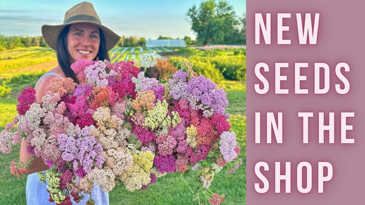 Exciting NEW SEED Varieties at PepperHarrow Farm | Seed Shop Sneak Peek