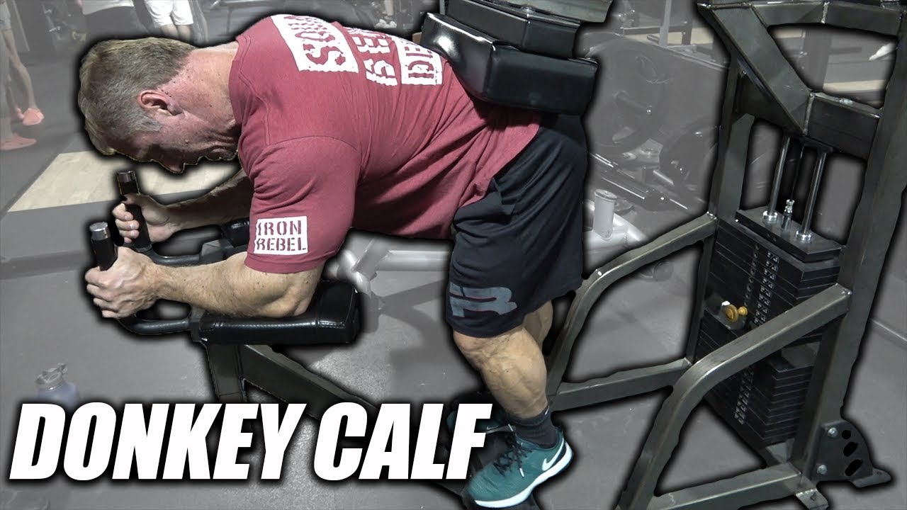Exercise Index - Donkey Calf Raises