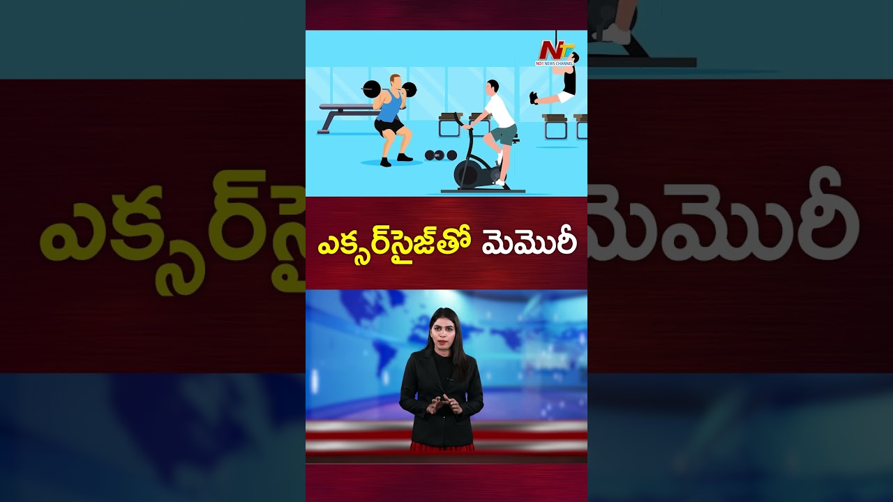 Exercise Training Improves Memory Performance | Ntv