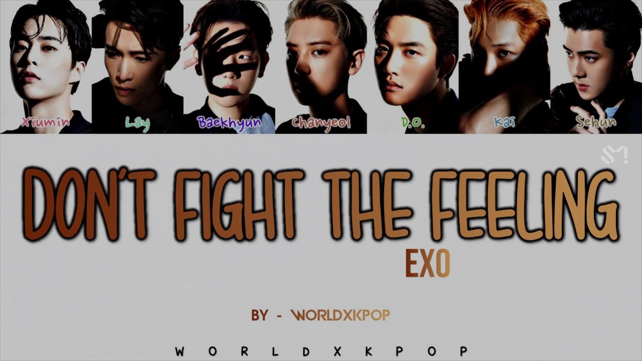 EXO - DON'T FIGHT THE FEELING * KOLAY OKUNUŞ+MV(EASY LYRICS)COLOR CODED
