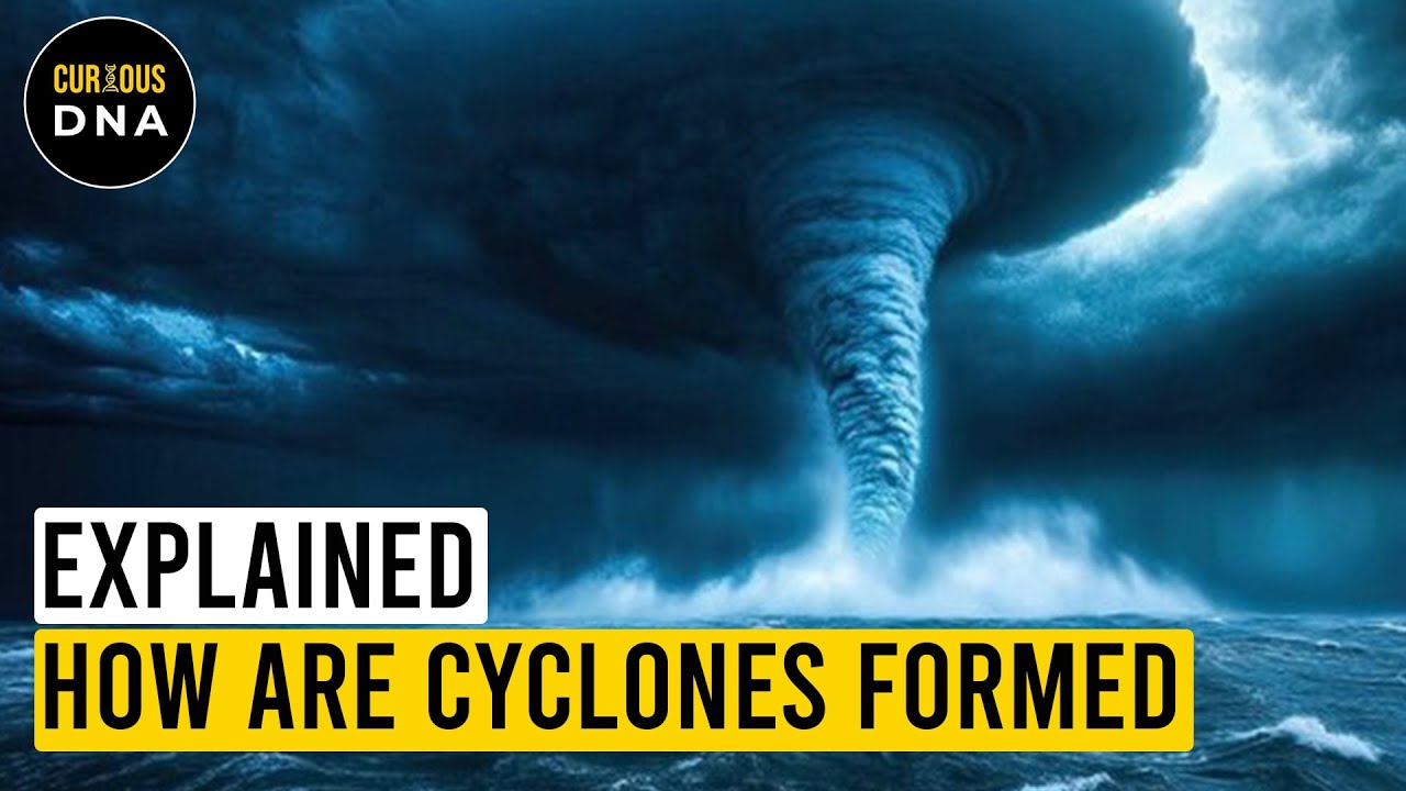 Explained | How are Cyclones formed | Hurricanes and Cyclones | Curious DNA