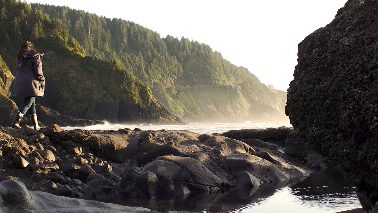 Explore the People's Coast