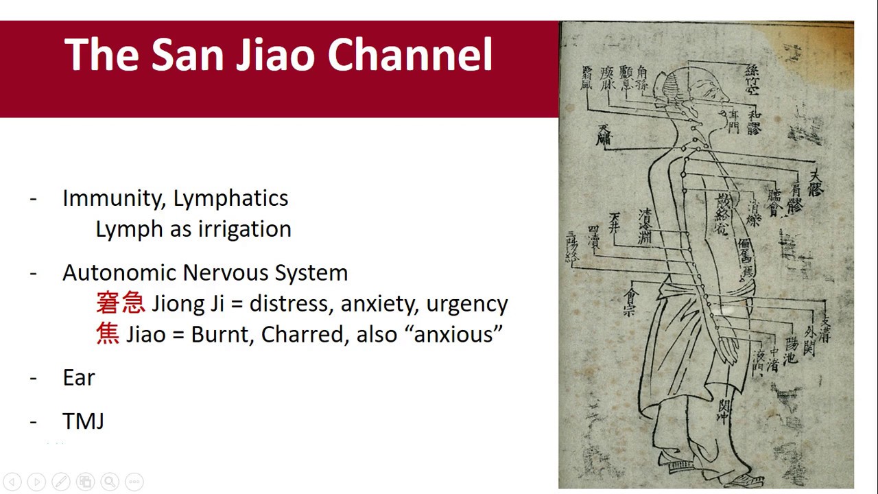 Exploring Acupuncture Points:  The San Jiao Channel