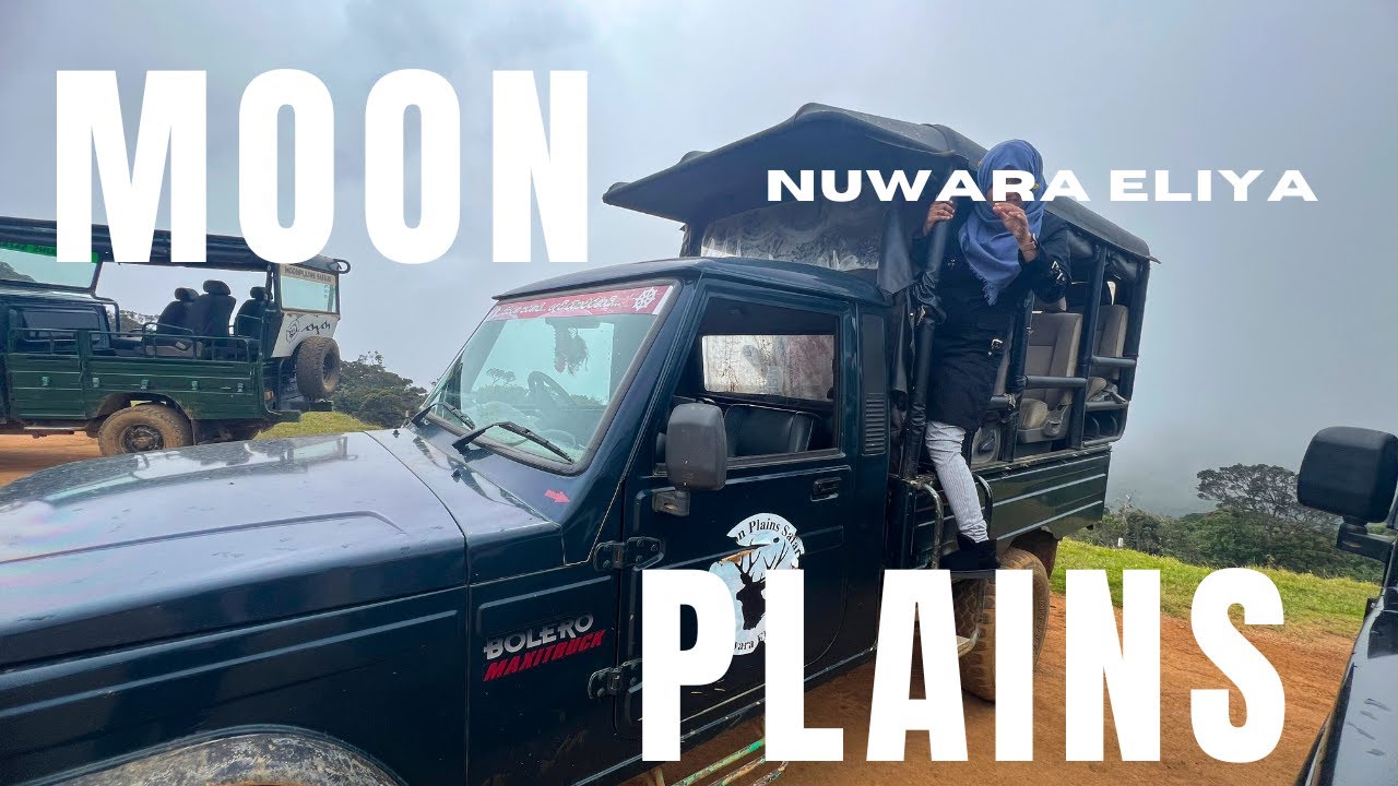 Exploring Moon Plains: Nuwara Eliya Safari Adventure | Sri Lanka
